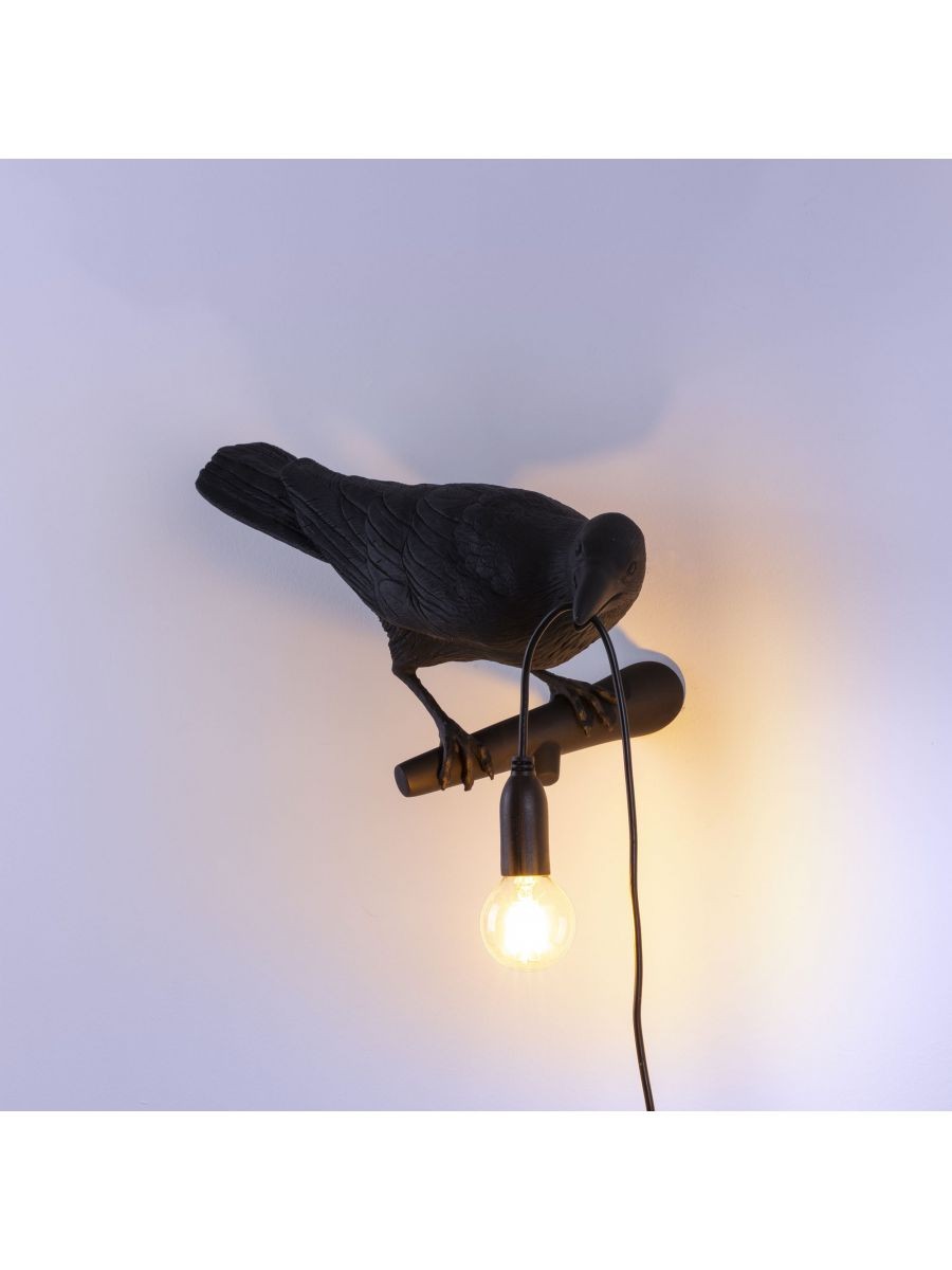 Lampe corbeau seletti a accroché (Gauche)